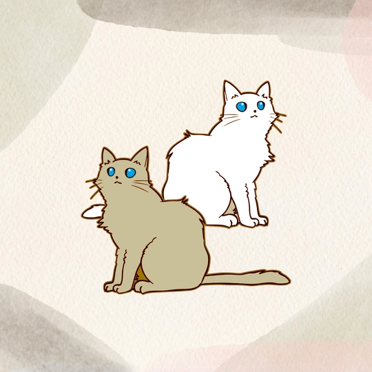 デザイン画像137