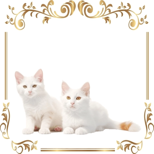 デザイン画像139